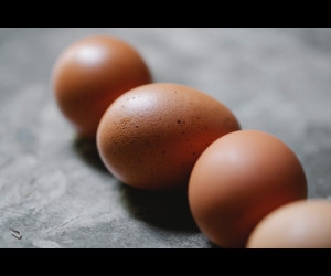 Egg Fast Dieta Ketogeniczna: Najczęstsze Błędy i Jak Ich Uniknąć