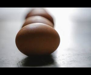 Egg Fast vs Dieta Ketogeniczna: Która Metoda Jest Dla Ciebie